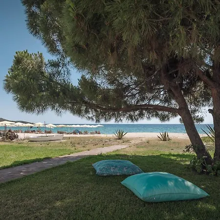 Villa Proteus Beachfront Villa,