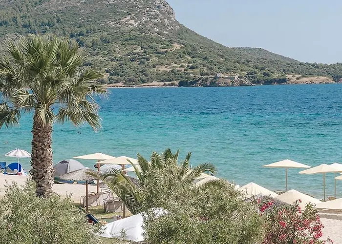 Proteus Beachfront Villa, * Toroni